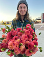 Load image into Gallery viewer, Robinhood Dahlia Tuber