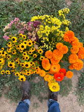 Load image into Gallery viewer, Bulk Blooms Bucket