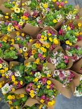 Load image into Gallery viewer, June Flower Subscription