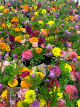 Load image into Gallery viewer, September Flower Subscription