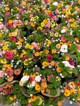 Load image into Gallery viewer, August Flower Subscription