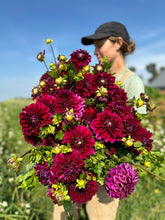 Load image into Gallery viewer, Diva Dahlia Tuber