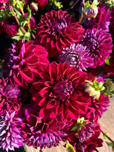 Load image into Gallery viewer, Diva Dahlia Tuber
