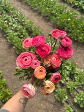 Load image into Gallery viewer, May Flower Subscription