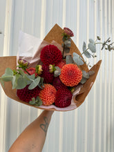 Load image into Gallery viewer, Dahlia CSA Subscription