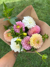 Load image into Gallery viewer, Dahlia CSA Subscription
