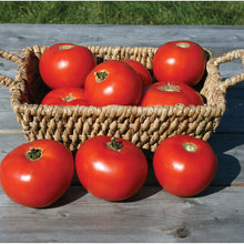 Load image into Gallery viewer, Plant Starts - Vegetables
