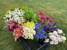 Load image into Gallery viewer, Bulk Blooms Bucket
