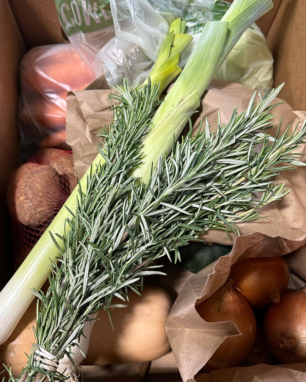Harvest Vegetable Box