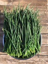 Load image into Gallery viewer, Fresh Chives
