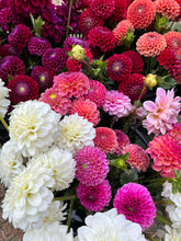 Load image into Gallery viewer, Dahlia CSA Share
