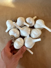 Load image into Gallery viewer, Fresh Garlic
