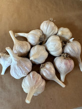 Load image into Gallery viewer, Fresh Garlic
