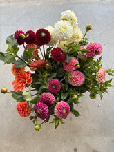 Load image into Gallery viewer, Dahlia Tuber Starter Pack
