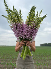 Load image into Gallery viewer, June Flower Subscription
