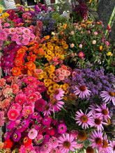 Load image into Gallery viewer, Bulk Blooms Bucket
