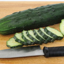 Load image into Gallery viewer, Plant Starts - Vegetables
